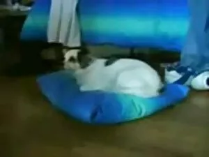 Tetona pelirroja mad ...